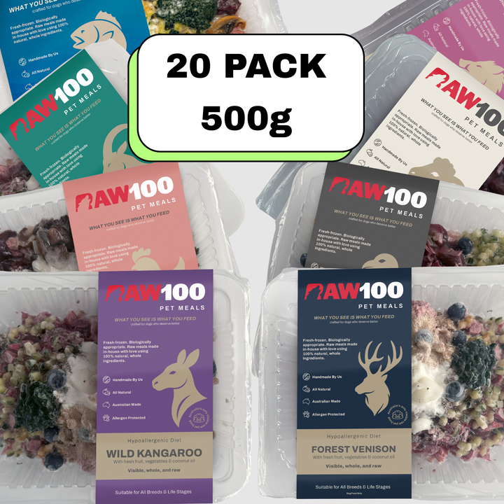 RAW100 20 Pack