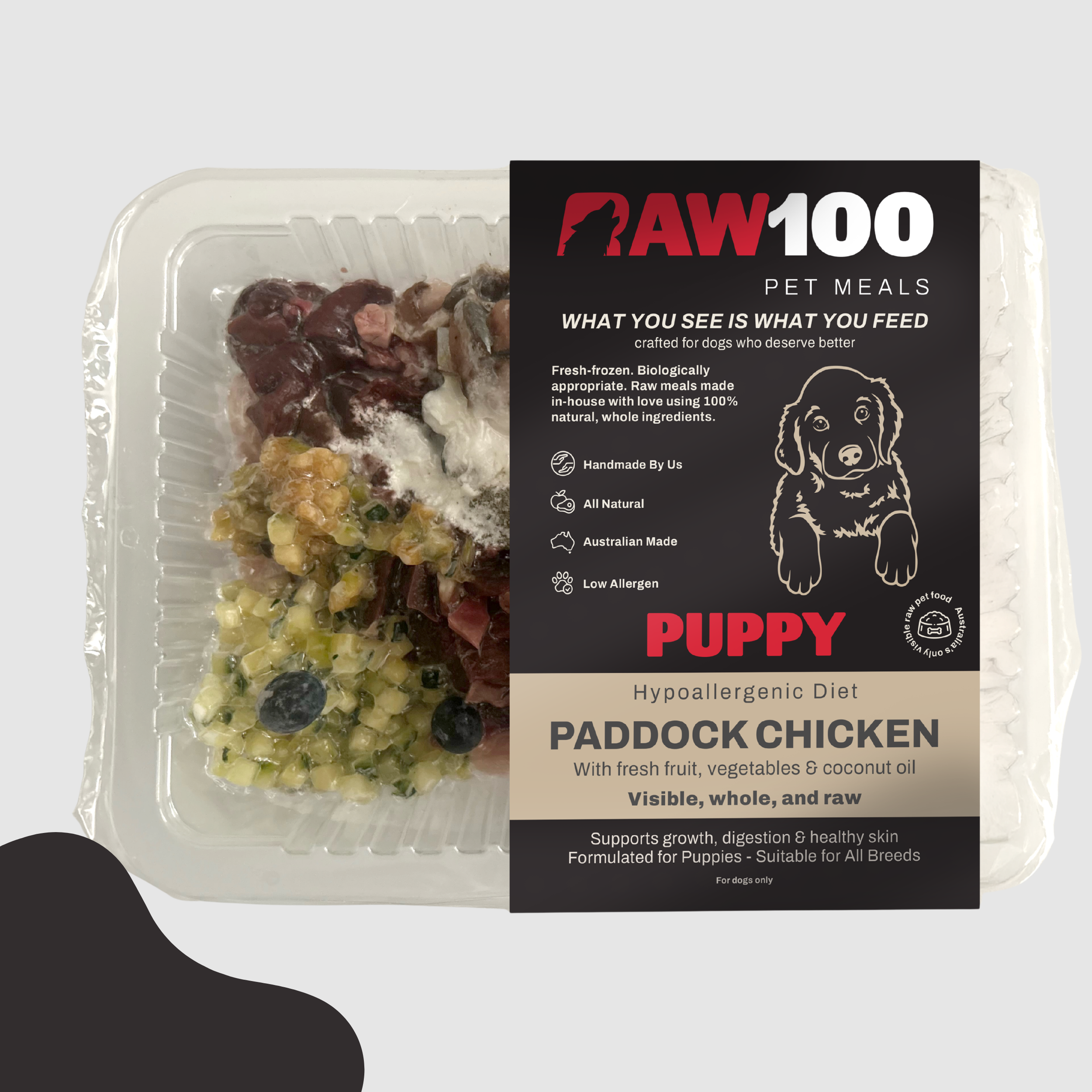 Paddock Chicken (PUPPY)
